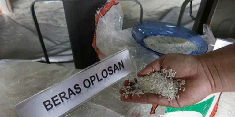 Pemerintah Kembangkan Sistem Pelacakan Digital Untuk Atasi Beras Oplosan