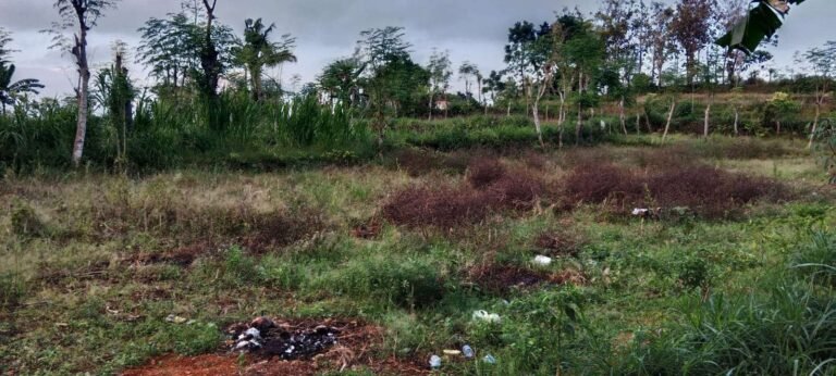 Pengalihan Tanah Terlantar Dorong Optimalisasi Lahan Produktif