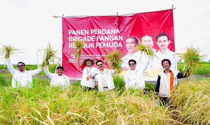 Pemerintah Siapkan Langkah Terpadu Dorong Swasembada Pangan