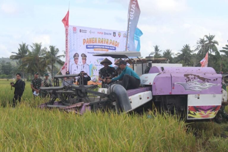 Swasembada Pangan Didorong Lewat Infrastruktur Irigasi Modern