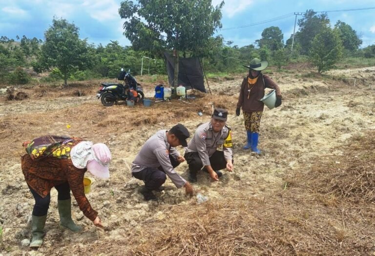 Pemerintah Fokus Menjaga Swasembada Pangan di Tengah Dinamika Demonstrasi