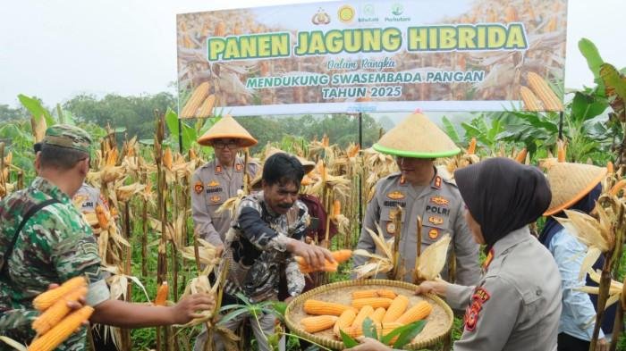 Pemerintah Tegaskan Swasembada Pangan Tak Terganggu Aksi Massa