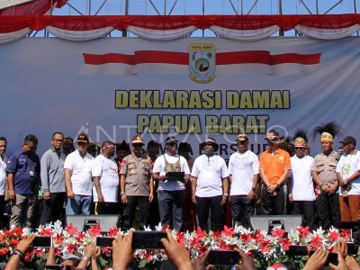 Papua Butuh Kedamaian, Bukan Demo Anarkis